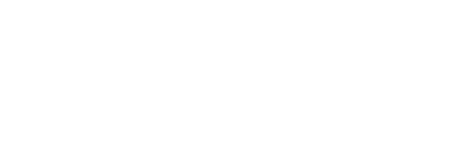 WFL Logo White